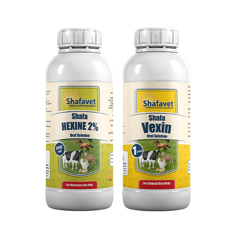 Effective expectorants that dilute and reduce the viscosity of mucus secretions, improving breathing