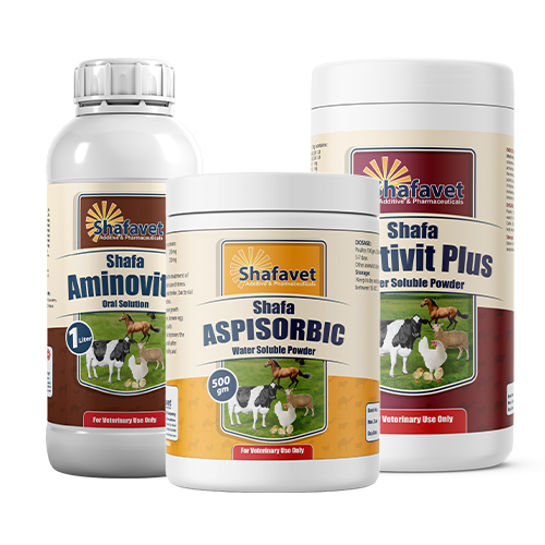 Water-soluble vitamins to support immunity, growth, fertility, and recovery from stress and illness.