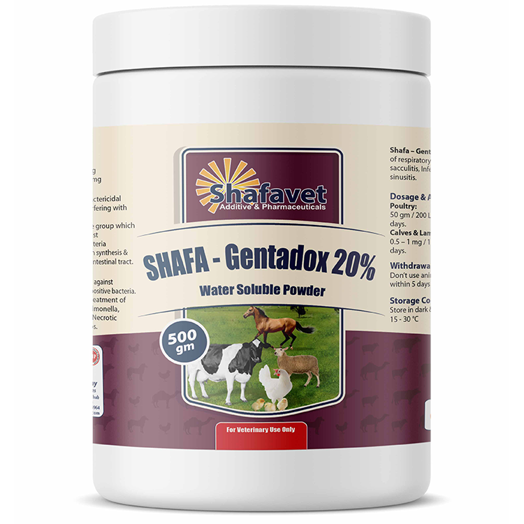 Shafa - Gentadox 20% Antibiotic that contains doxycycline hyclate and gentamicin sulfate soluble powder used for poultry packed in 500 gm jar
