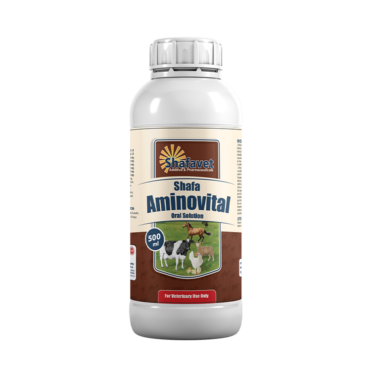 Shafa Aminovital 500ml – oral multivitamin and amino acid supplement for poultry, cattle, sheep, horses – veterinary liquid nutrition – Shafavet