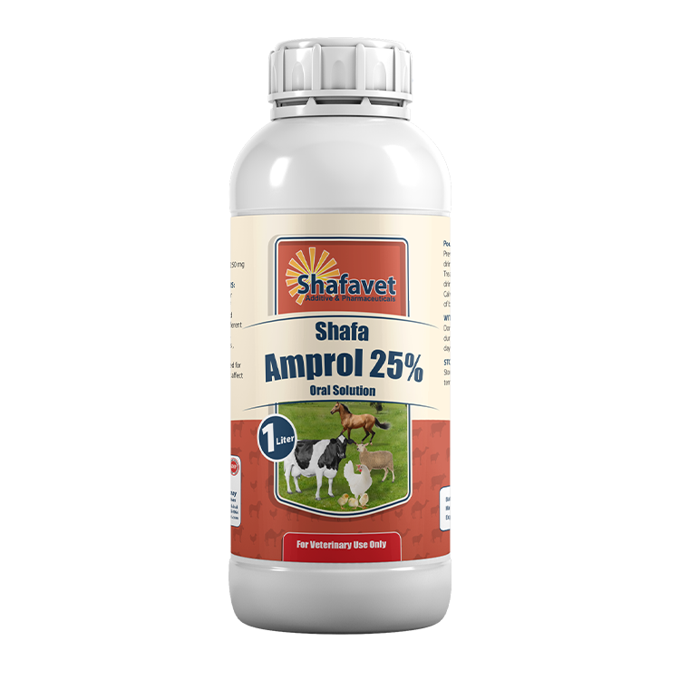 Shafa Amprol 25% bottle – 1 liter oral anticoccidial solution for poultry, cattle, sheep, and horses by Shafavet Pharmaceuticals