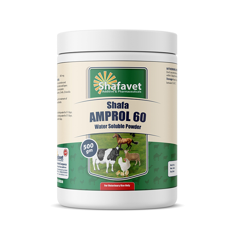 Shafa Amprol 60 container – 500 grams water-soluble anticoccidial powder for poultry, cattle, sheep, and horses by Shafavet Pharmaceuticals