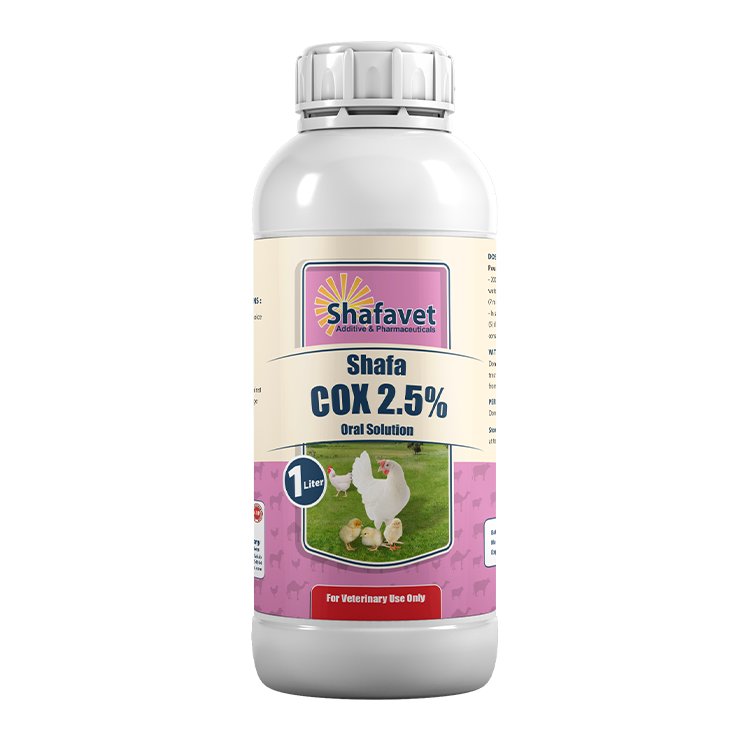 Shafa COX 2.5% bottle – 1 liter oral solution for treating coccidiosis in poultry, produced by Shafavet Pharmaceuticals