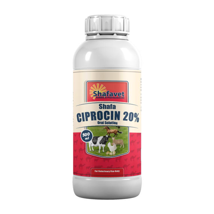 Shafa Ciprocin 20% bottle – 500 ml oral antibiotic solution for livestock and poultry by Shafavet Pharmaceuticals
