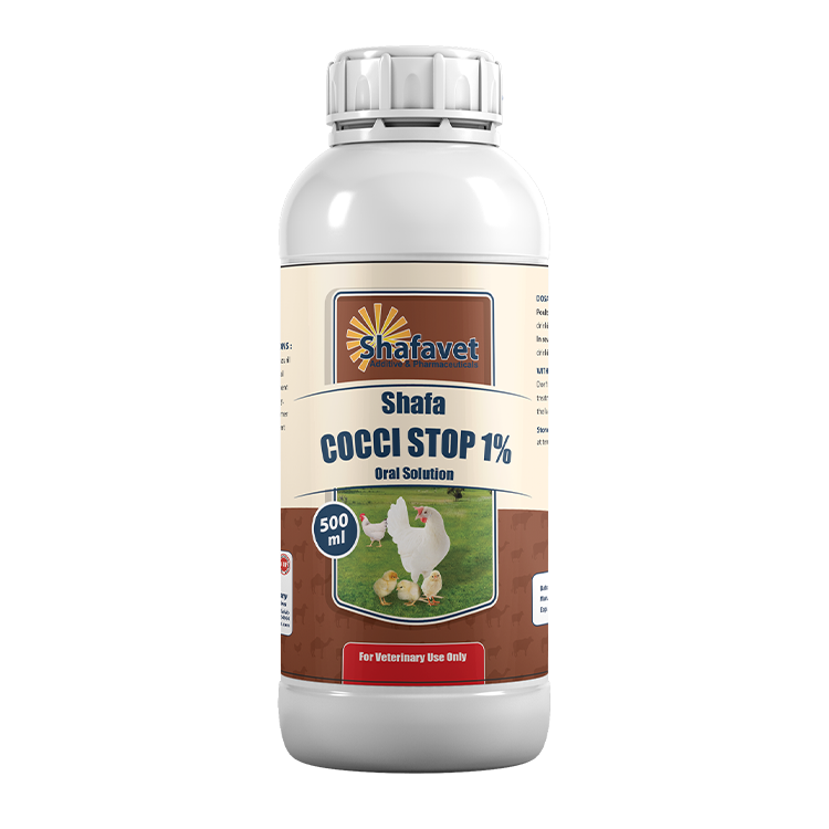 Shafa Cocci Stop 1% bottle – 500 ml oral solution for preventing and treating coccidiosis in chickens, manufactured by Shafavet Pharmaceuticals