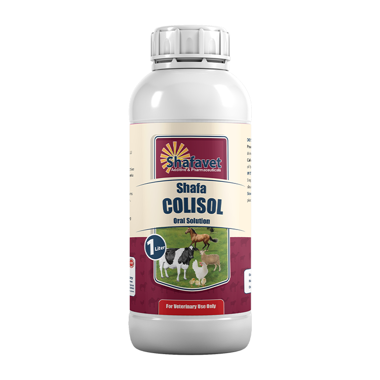 Shafa Colisol bottle – 1 liter oral antibiotic solution for cattle, poultry, sheep, and horses by Shafavet Pharmaceuticals