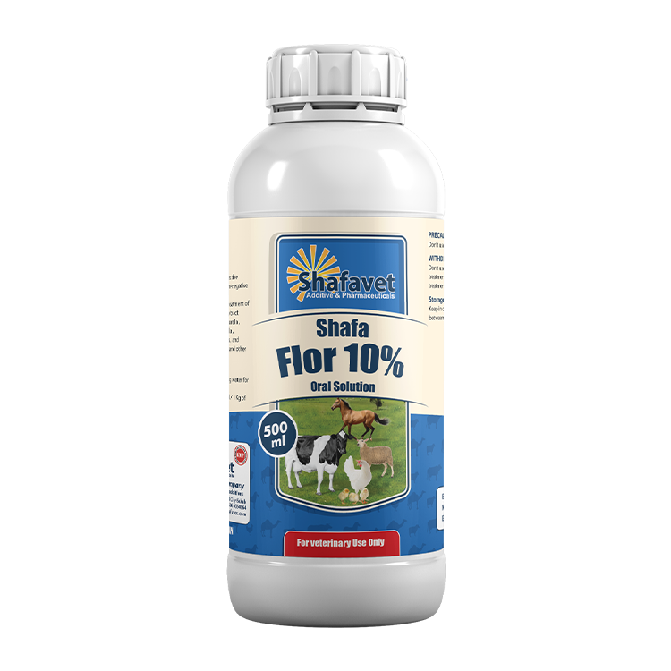 Shafa Flor 10% bottle – 500 ml oral antibiotic solution for poultry, cattle, sheep, and horses by Shafavet Pharmaceuticals