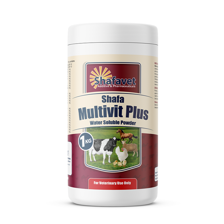 Shafa Multivit Plus 1KG – veterinary multivitamin water-soluble powder for poultry, cattle, sheep, and horses – Shafavet animal health supplement