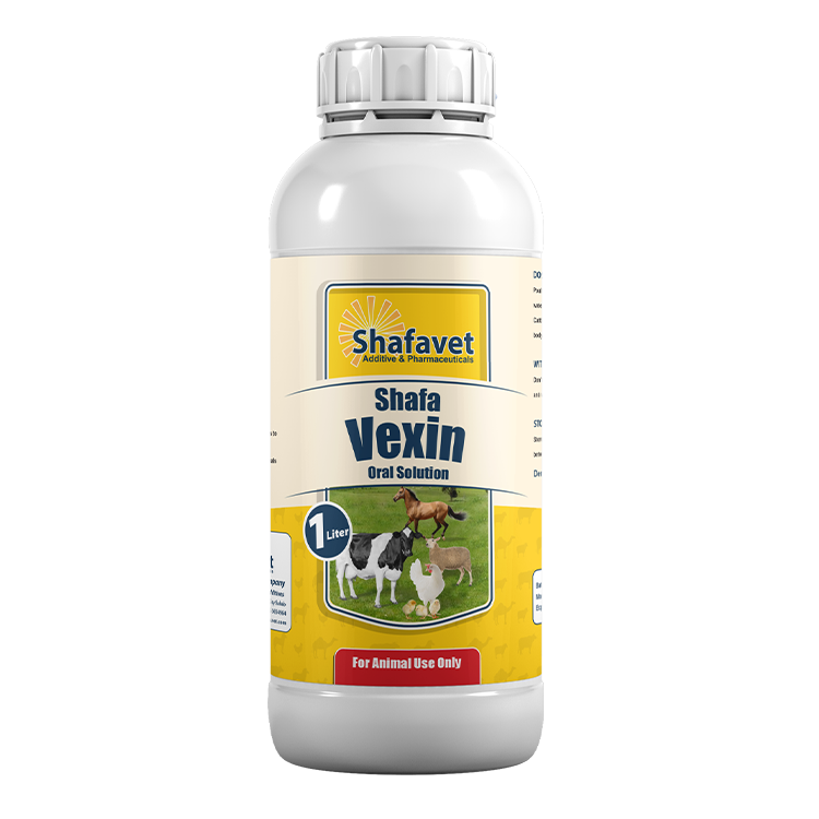 Shafa Vexin 1-liter bottle – veterinary oral solution designed to support respiratory and digestive systems in poultry, cattle, sheep, and other farm animals