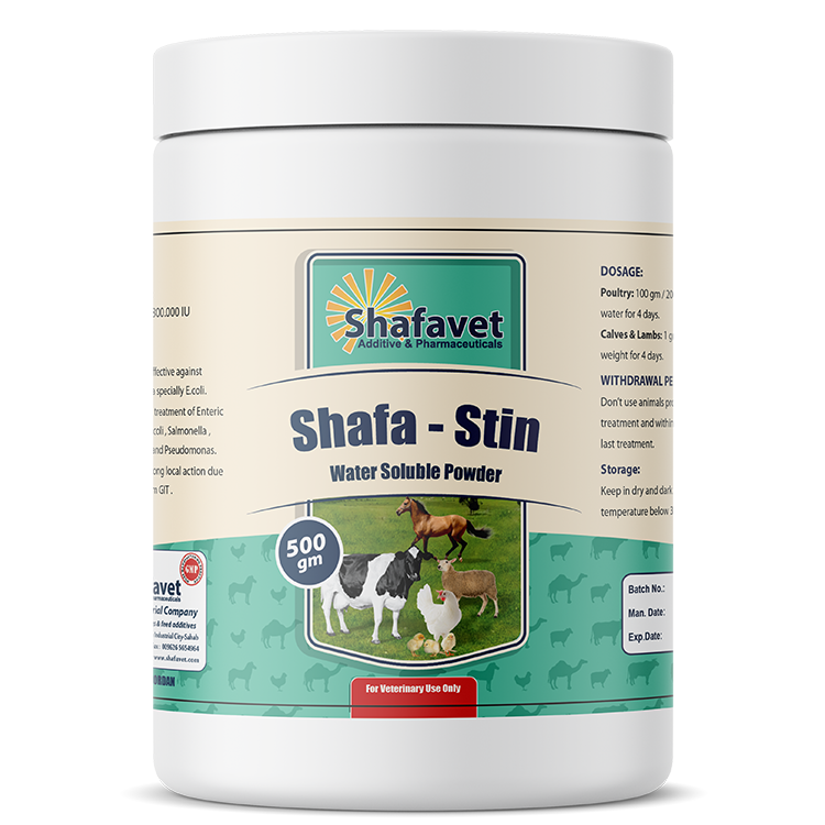 Shafa - Stin 500 gm Powder Jar